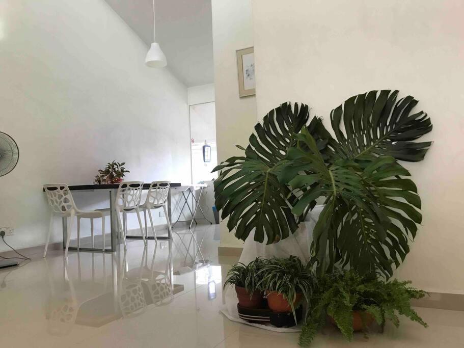 Terrace House Near Stulang Laut Ciq Midvalley Ksl For 7Pax 新山 外观 照片