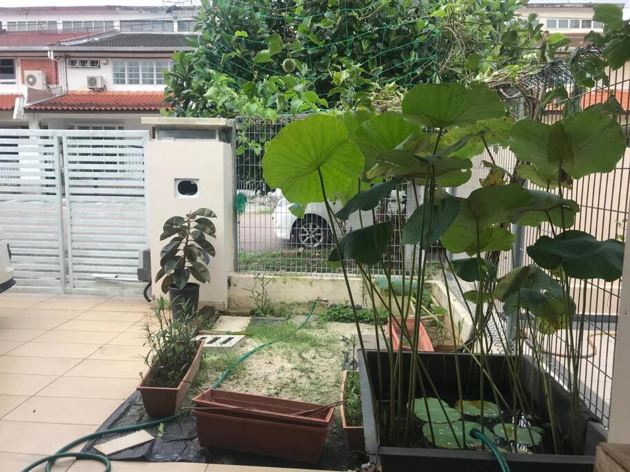 Terrace House Near Stulang Laut Ciq Midvalley Ksl For 7Pax 新山 外观 照片